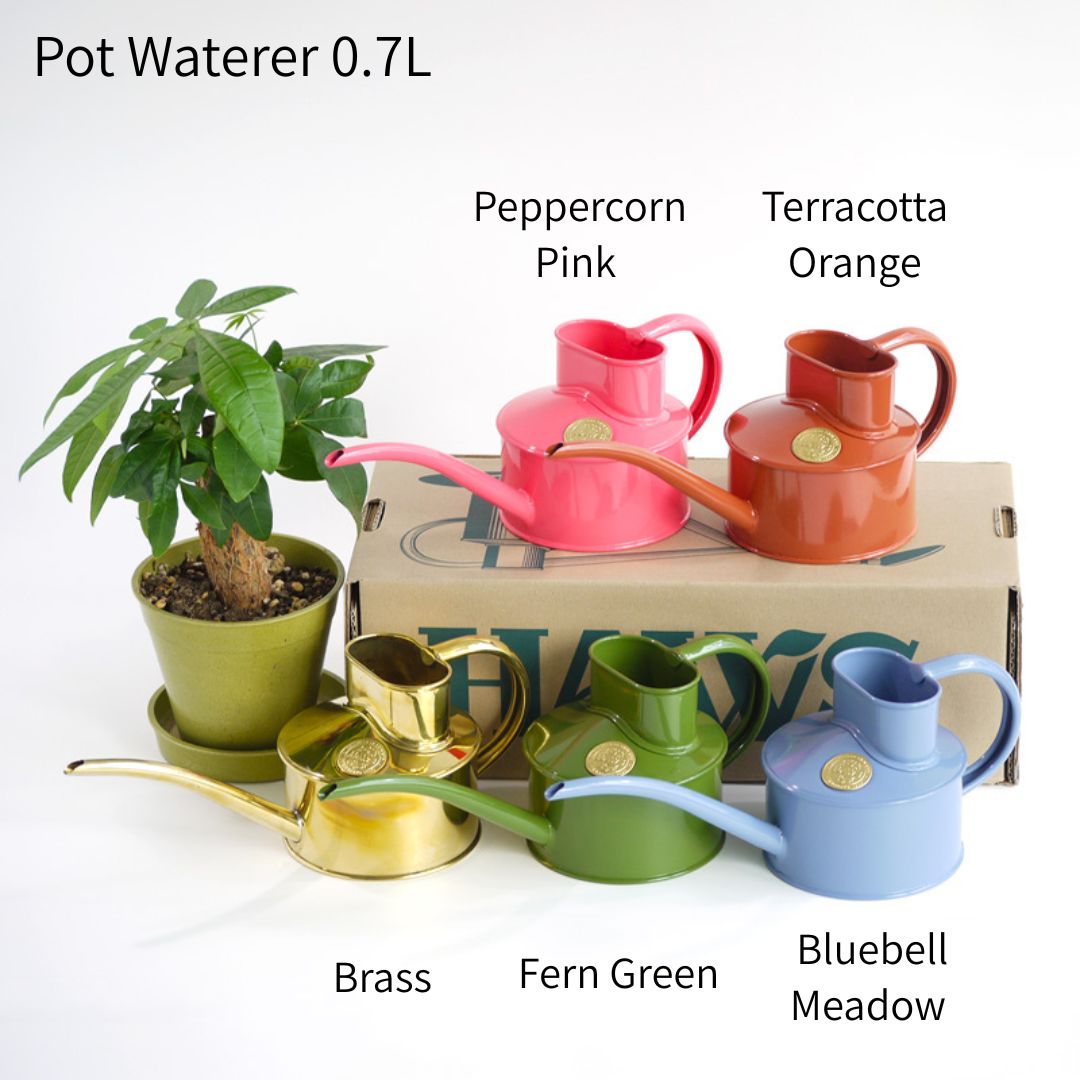 Wexthuset Japan Online Store